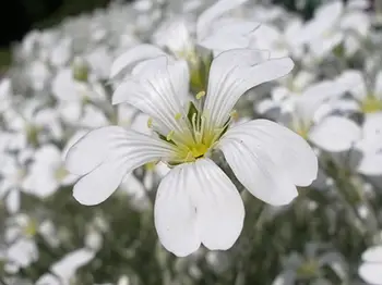 Wojciech Żegota - Fotografia