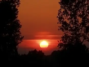 Wojciech Żegota - Fotografia