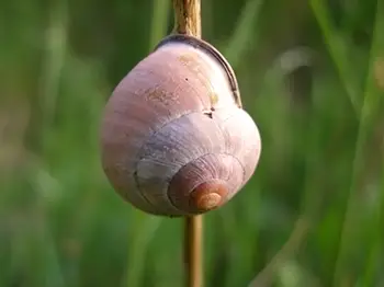 Wojciech Żegota - Fotografia