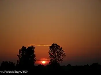 Wojciech Żegota - Fotografia