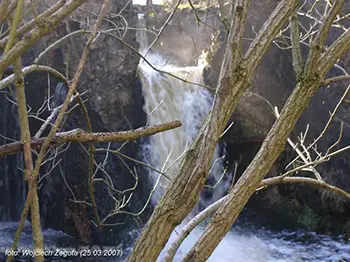 Wojciech Żegota - Fotografia