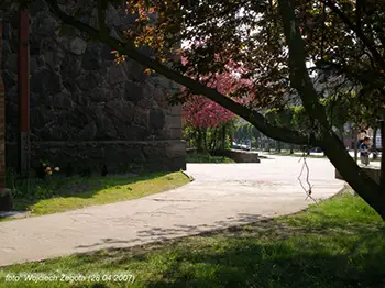 Wojciech Żegota - Fotografia