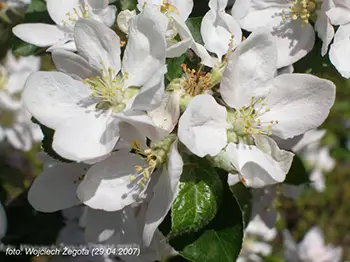 Wojciech Żegota - Fotografia