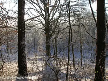 Wojciech Żegota - Fotografia