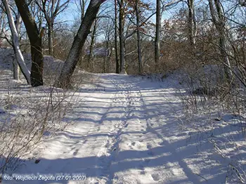 Wojciech Żegota - Fotografia