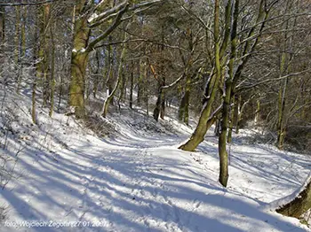 Wojciech Żegota - Fotografia