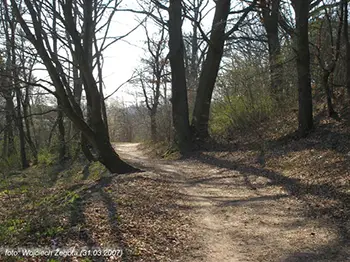 Wojciech Żegota - Fotografia