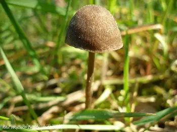 Wojciech Żegota - Fotografia