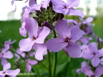 Wojciech Żegota - Fotografia