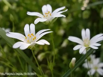 Wojciech Żegota - Fotografia