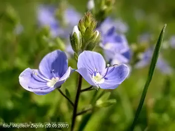 Wojciech Żegota - Fotografia