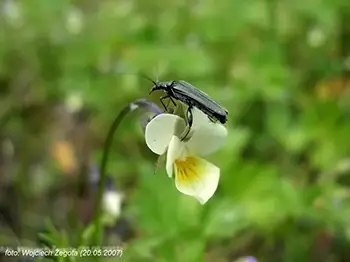 Wojciech Żegota - Fotografia