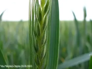 Wojciech Żegota - Fotografia