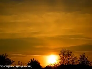 Wojciech Żegota - Fotografia