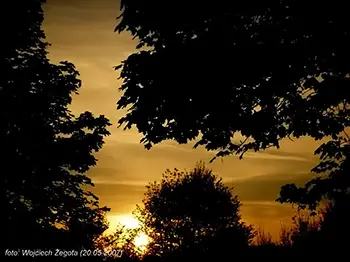 Wojciech Żegota - Fotografia