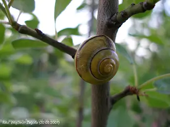 Wojciech Żegota - Fotografia