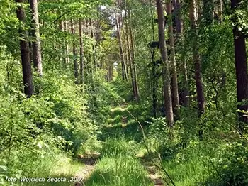 Wojciech Żegota - Fotografia