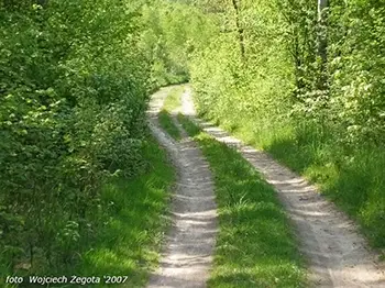 Wojciech Żegota - Fotografia