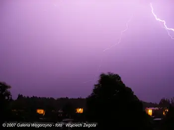 Wojciech Żegota - Fotografia