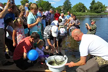 Zarybianie jeziora Węgorzyno