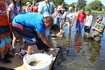 Zarybianie jeziora Węgorzyno