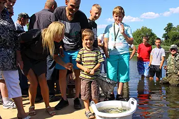 Zarybianie jeziora Węgorzyno