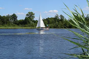 Zarybianie jeziora Węgorzyno