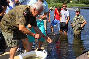Zarybianie jeziora Węgorzyno