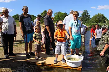 Zarybianie jeziora Węgorzyno