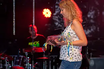 Zespół muzyczny Chemia