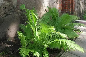 Kościół pw Świętej Rodziny