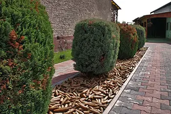 Leśnictwo Zwierzynek