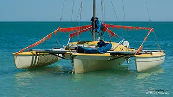 Ocean Park Aquarium - Australia