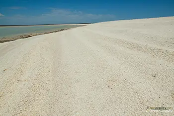 Shell Beach Conservation Park - Australia