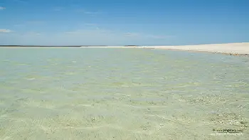 Shell Beach Conservation Park - Australia