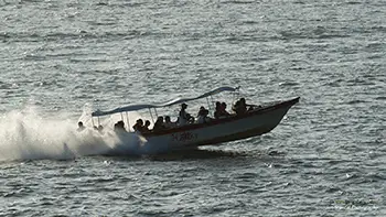 Szybka Łódź pasażerska - Morze Karaibskie - Cartagena Kolumbia