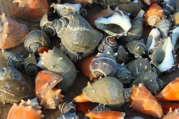 Colombia - Cartagena de Indias - plaża Castillogrande