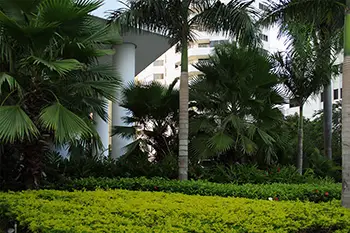 Colombia - Cartagena de Indias - Castillogrande