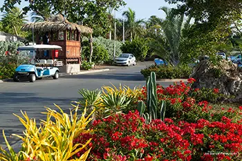 Curacao - Willemstad