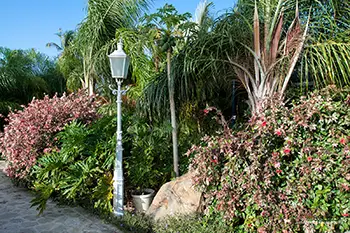 Curacao - Willemstad