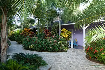 Curacao - Willemstad