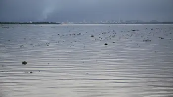 Ecuador - Guayas River