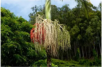 Jerry Genda Photography