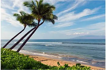 Maui Beaches