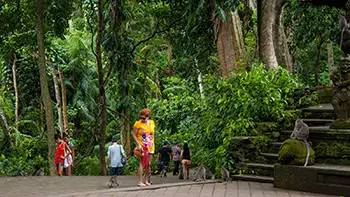 Indonesia Bali - Ubud Monkey Forest