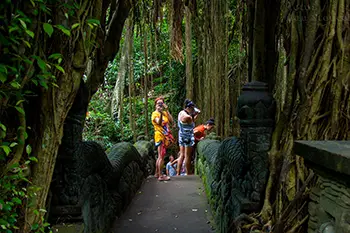 Indonesia Bali - Ubud Monkey Forest