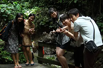 Indonesia Bali - Ubud Monkey Forest