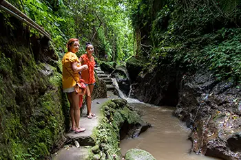 Indonesia Bali - Ubud Monkey Forest