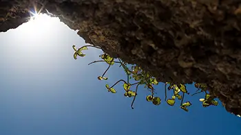 Indonesia Bali - Uluwatu Cliff