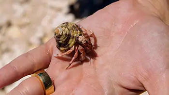 Indonesia Bali - Uluwatu Cliff